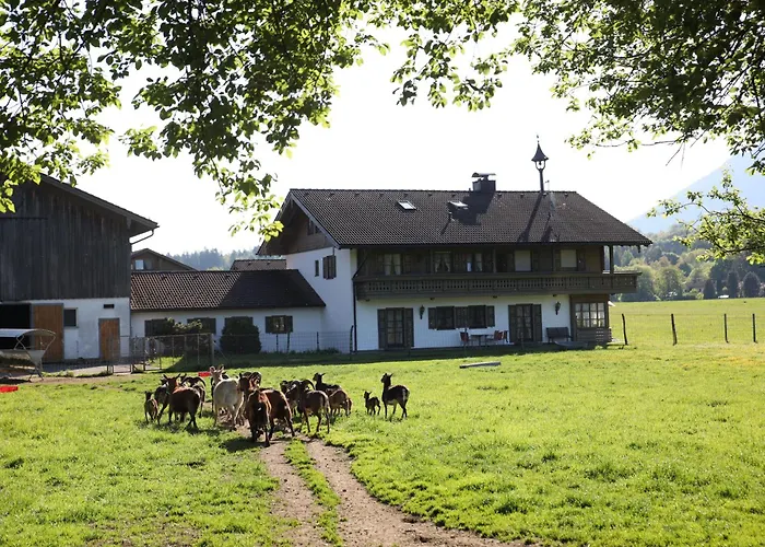 Lejlighed Kleinreiterhof Limmer Bad Reichenhall